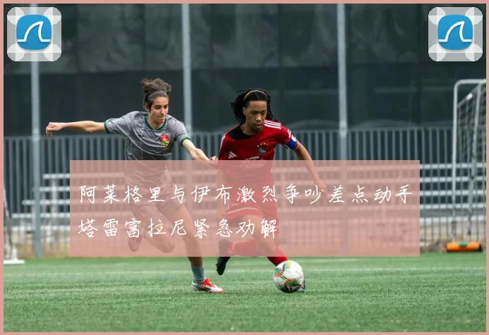 阿莱格里与伊布激烈争吵差点动手塔雷富拉尼紧急劝解